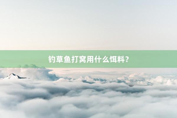 钓草鱼打窝用什么饵料?