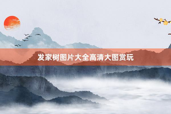 发家树图片大全高清大图赏玩