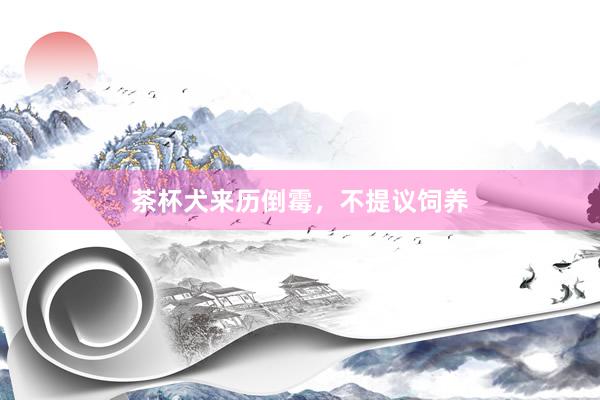 茶杯犬来历倒霉，不提议饲养